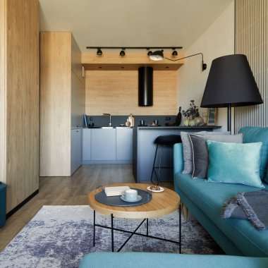 Modern oturma odasının yaratıcı kompozisyonu küçük bir dairede açık alan. Okaliptüs kanepe, küçük tasarlanmış ahşap sehpa ve kişisel aksesuarlar. Mutfak arka planda. Şablon.