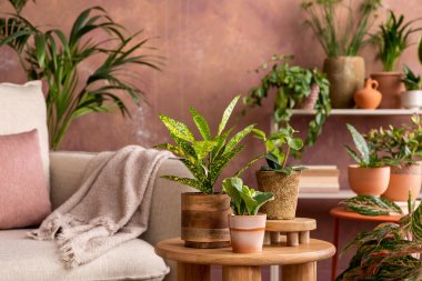 Yaratıcı geniş oturma odasının şık kompozisyonu bitkiler, kanepe, sehpa, çekmeceler ve şık aksesuarlarla dolu. Samimi bir odanın botanik alanı. Kahverengi duvarlar. Şablon. 