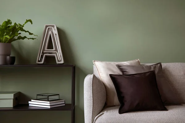 Elegant Composition Living Room Interior Modern Sofa Design Pillows Metal — 스톡 사진