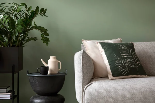 Gaya Komposisi Interior Ruang Tamu Sofa Modern Bantal Desain Tanaman — Stok Foto