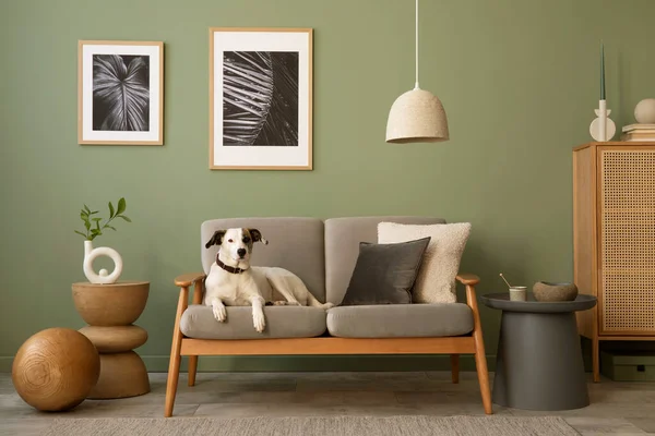 客厅内部的精致构成 现代丑闻沙发 副桌和创意个人配件 Sage Green Wall 复制空间 — 图库照片