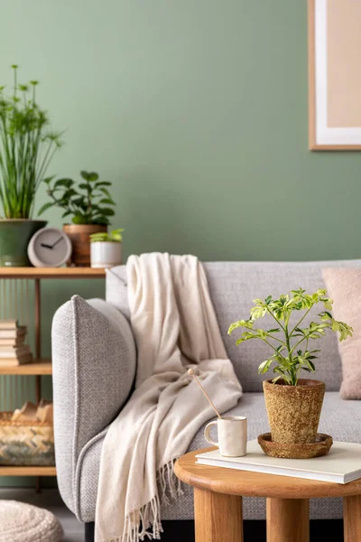 Stylish Composition Cozy Living Room Interior Design Poster Frames Plants — Stok Foto
