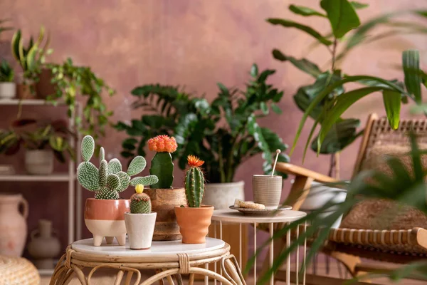 Stylish Composition Creative Spacious Living Room Interior Plants Armchair Coffee — 스톡 사진