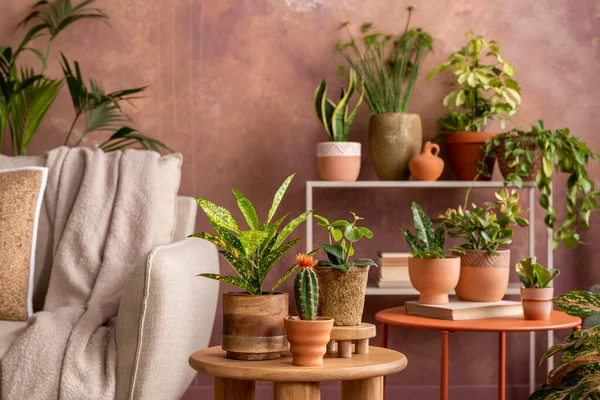 Stylish Composition Creative Spacious Living Room Interior Plants Sofa Coffee — Stok Foto