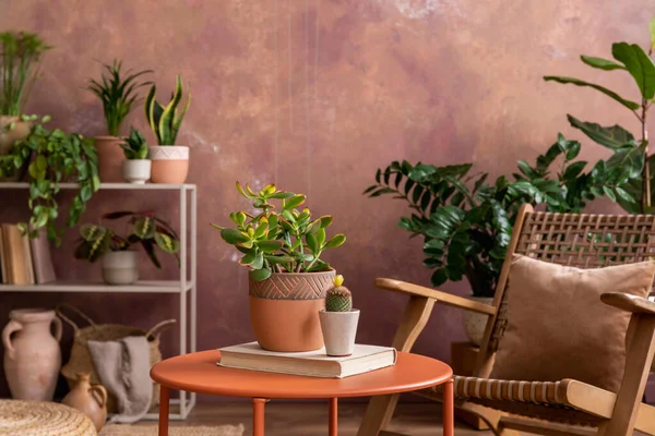 Yaratıcı Ferah Oturma Odasının Şık Kompozisyonu Bitkiler Rattan Koltuk Sehpa — Stok fotoğraf