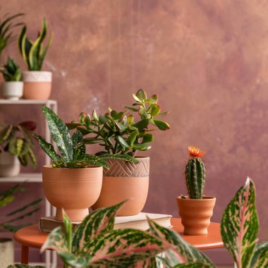 Bitkiler, kahve masası ve şık aksesuarlarla dolu yaratıcı geniş oturma odasının şık kompozisyonu. Samimi bir odanın botanik alanı. Kahverengi duvarlar. Uzayı kopyala Şablon. 