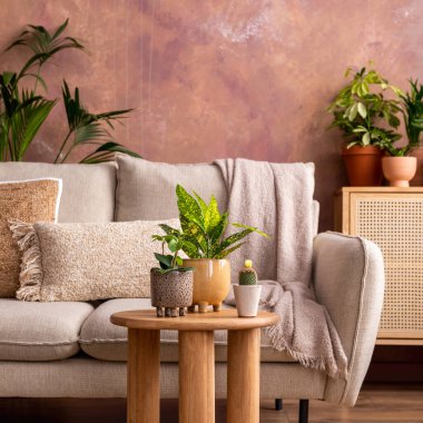 Yaratıcı geniş oturma odasının şık kompozisyonu bitkiler, kanepe, sehpa, çekmeceler ve şık aksesuarlarla dolu. Samimi bir odanın botanik alanı. Kahverengi duvarlar. Şablon. 