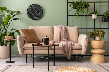 Oturma odasının içinde bej kanepe, ahşap sehpa, bitkiler ve zarif kişisel aksesuarlarla süslenmiş şık bir kompozisyon. Kahverengi yastık ve ekose kumaş. Samimi bir daire. Ev dekoru.