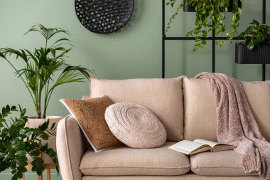 Oturma odasının içinde bej kanepe, kahve masası, bitkiler ve zarif kişisel aksesuarlarla süslenmiş şık bir kompozisyon. Kahverengi yastık ve ekose kumaş. Samimi bir daire. Ev dekoru.