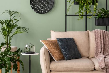 Oturma odasının içinde bej kanepe, sade kahve masası, bitkiler ve zarif kişisel aksesuarlarla süslenmiş şık bir kompozisyon. Kahverengi yastık ve ekose kumaş. Yeşil duvar. Şablon. 