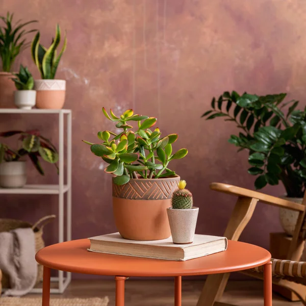 Stylish Composition Creative Spacious Living Room Interior Plants Rattan Armchair — Stockfoto