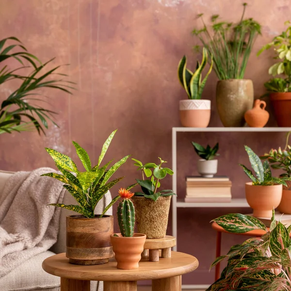 Stylish Composition Creative Spacious Living Room Interior Plants Sofa Coffee — Photo