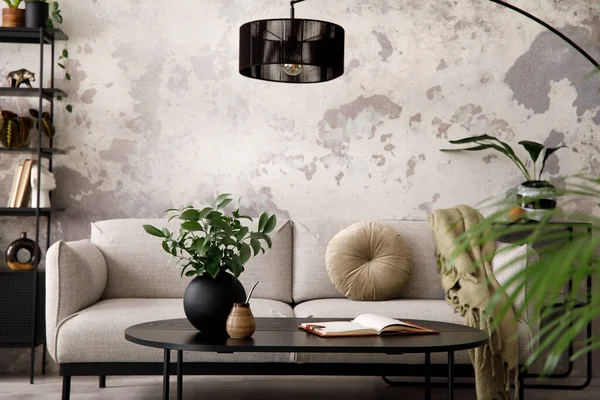 Stylish Compostion Living Room Interior Design Gray Sofa Black Coffee — Stock fotografie