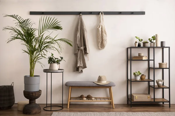 The stylish composition of cosy entryway with grey bench, black consola, hanger and plant. Beige wall. Home decor. Template.