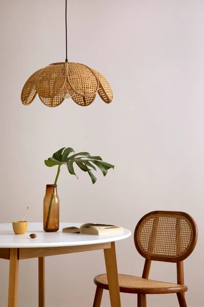 Stylish Dining Room Table Rattan Chair Lamp Kitchen Accessories Leaf — 스톡 사진
