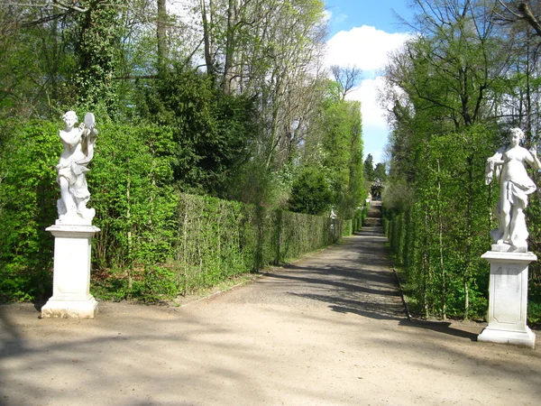 Allee no parque — Fotografia de Stock