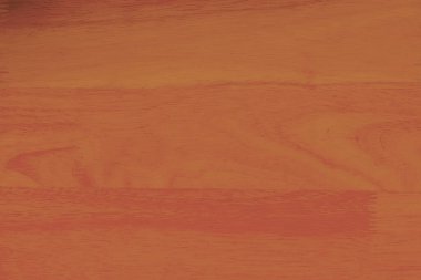 Sunumlar için renk arkaplanı dekoratif tasarım şablonu kapağı kopyalama alanı olan metin ekle