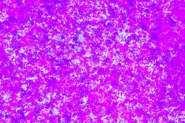 Sunumlar için soyut arkaplan dekoratif grafik tasarım şablonu kapağı kopyalama alanı olan metin ekle