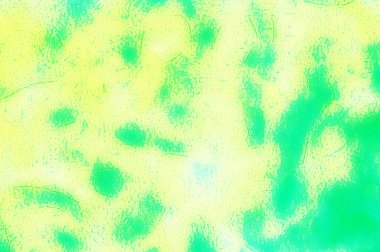 Color blurred background for presentations decorative design template insert text with copy space