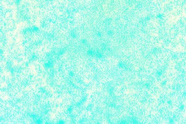 Color blurred background for presentations decorative design template insert text with copy space