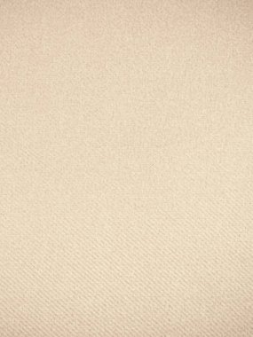 Renkli Arkaplan Sancak Şablonu, Metin İçin Yer ile fikirleriniz için dekoratif tasarım düzeni