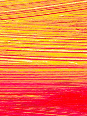 Tasarımınız için dikey arkaplan şablonu resim veya metin eklemek için boş alan ile çalışır 