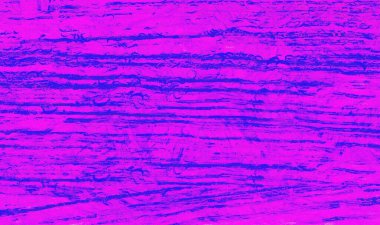 Grafik tasarımınız için renkli arkaplan duvar kağıdı şablonu Metin için boşluk ile çalışır