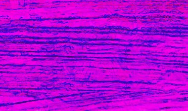 Grafik tasarımınız için renkli arkaplan duvar kağıdı şablonu Metin için boşluk ile çalışır