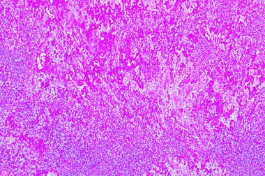 Grafik tasarımınız için renkli arkaplan duvar kağıdı şablonu Metin için boşluk ile çalışır