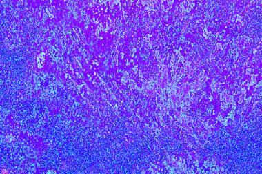 Grafik tasarımınız için renkli arkaplan duvar kağıdı şablonu Metin için boşluk ile çalışır