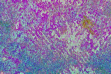 Grafik tasarımınız için renkli arkaplan duvar kağıdı şablonu Metin için boşluk ile çalışır