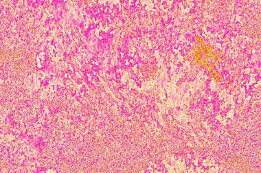 Grafik tasarımınız için biçimlendirilmiş duvar kağıdı arkaplanı metin eklemek için boş alan ile çalışır