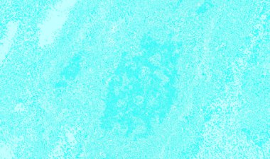 Arkaplan duvar kağıdı şablonu fikirleriniz için sanatsal tasarım, Metin için boşluk 