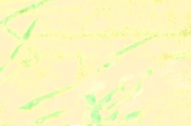 Yaratıcı grafik tasarım çalışmalarınız için Basit Sanat Biçimlendirilmiş Dokuya sahip açık renkli soyut arkaplan  