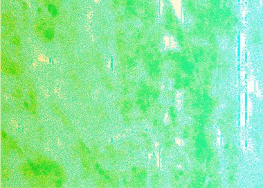 Tasarımcı duvar kağıdı arka plan şablonu Nazik klasik doku. grafik tasarım çalışmaları için