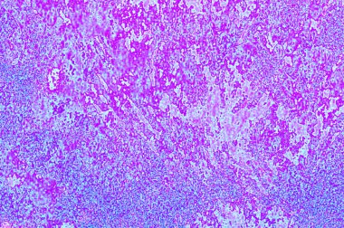 Soyut tasarımcı arkaplanı. Nazik klasik doku. Metin için alanı olan dijital sanat dokusu