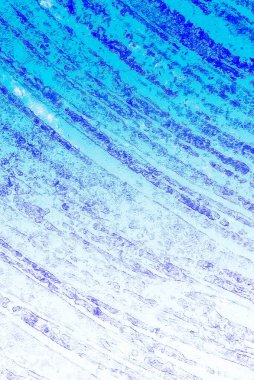 Grafik tasarımınız için dikey Arkaplan Şablonu