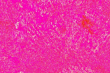 Grafik tasarımınız için renkli arkaplan duvar kağıdı şablonu Metin için boşluk ile çalışır