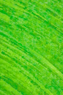 Arka planlar için dikey sosyal şablon, web afişi, posterler ve yaratıcı tasarımın vs..