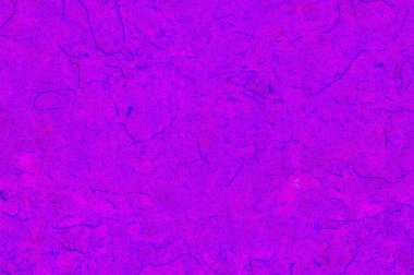 Tasarımcı duvar kağıdı arkaplan şablonu Grafik tasarımınız için nazik klasik doku vs..