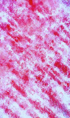 Yaratıcı tasarımınız için dikey arkaplan şablonu metin eklemek için boş alan ile çalışır