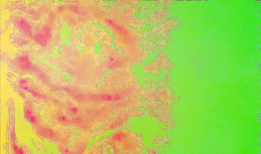 Renkli tasarımcı geçmişi. Nazik klasik doku. Tasarımınız için dijital şablon vs..