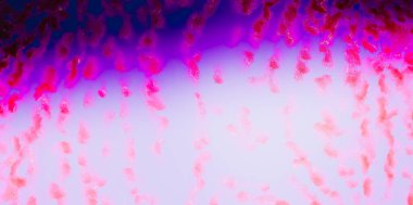 Sosyal medya, posterler, çevrimiçi reklamlar ve grafik tasarımı vb. Yatay Sancak arkaplanı