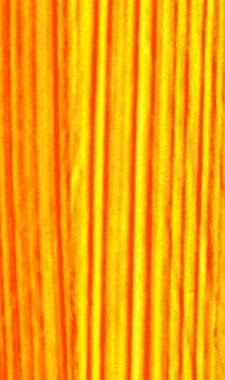 Arka planlar için dikey sosyal şablon, web afişi, posterler ve yaratıcı tasarımın vs.