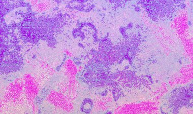 Soyut arkaplan, arkaplanlar için renkli doku, web afişi, posterler ve yaratıcı tasarım çalışmalarınız