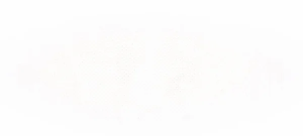 Vacker Grunge Bakgrund Panorama Abstrakt Banner Mall Brett Vinkel Grov — Stockfoto