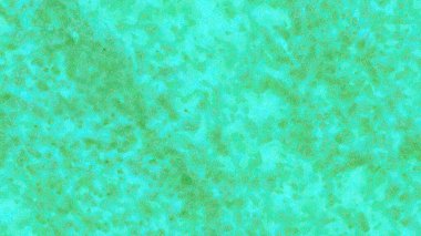 Web siteleri, sosyal medya, bloglar, e-kitaplar, bültenler, reklamlar için uygun renkli bir geçmiş. Kopya için resim ya da boşluk ekle