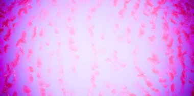 Arka planlar için panorama sosyal şablonu, web afişi, posterler, kart, internet reklamları ve yaratıcı tasarımın işe yarıyor