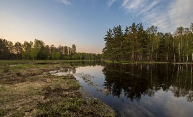Resimli bir bahar akşamı manzarası. Nehir baharda taştı. Ağaçlarda ve topraklarda genç yeşillikler.