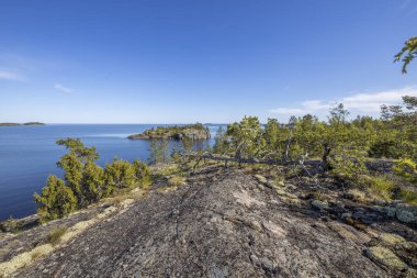 Kuzey doğası. Karelian kokarcaları. Ladoga Gölü. Taşlı kıyıları olan Ladoga Gölü Kanalı. 